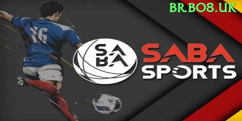 999 no Brasil: Análise Completa e Recomendações - app